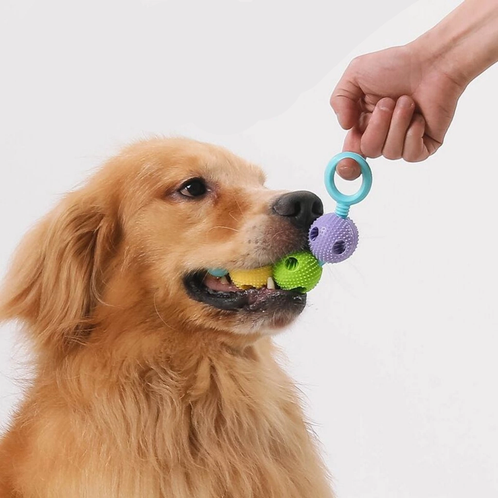 Pet Toy Dog Biting Glue Grinding Teeth Cleaning Grinding Stick Dog Toy Leaky Food Toy Leaky Food Ball Molar Rod